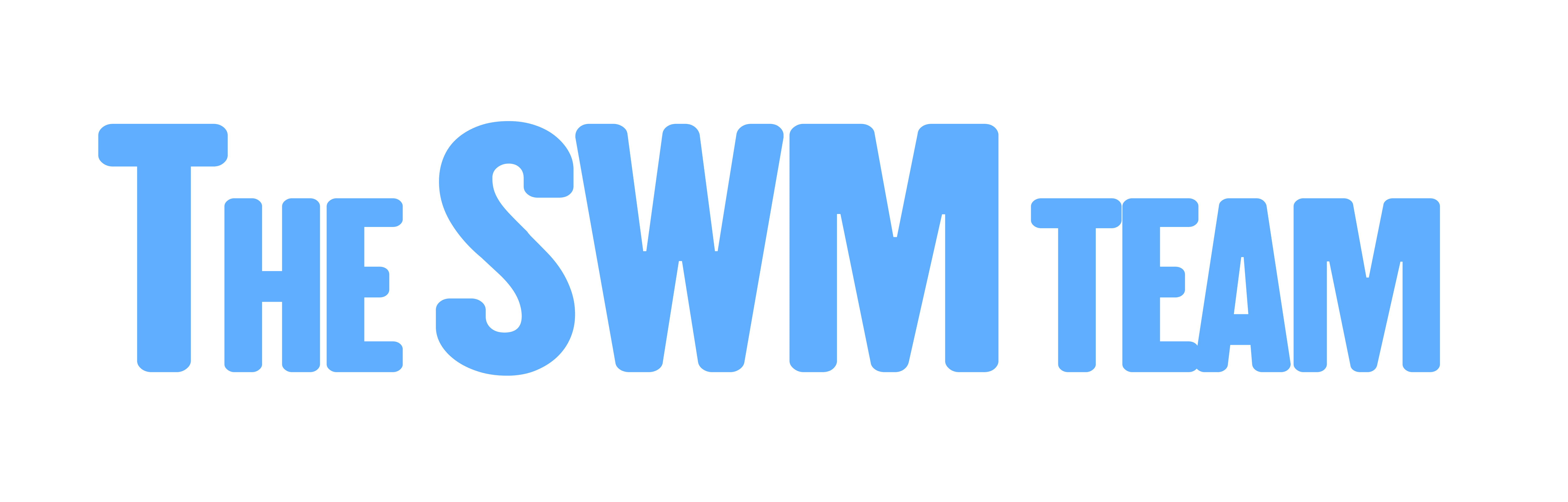 TheSWMTeam